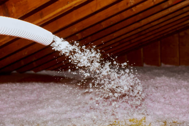 Best Insulation Maintenance and Repair in Charlotte, TN