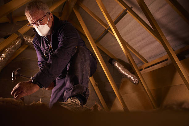 Best DIY Insulation Kits and Guidance in Charlotte, TN