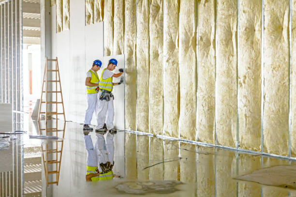 Best Blown-in Insulation in Charlotte, TN